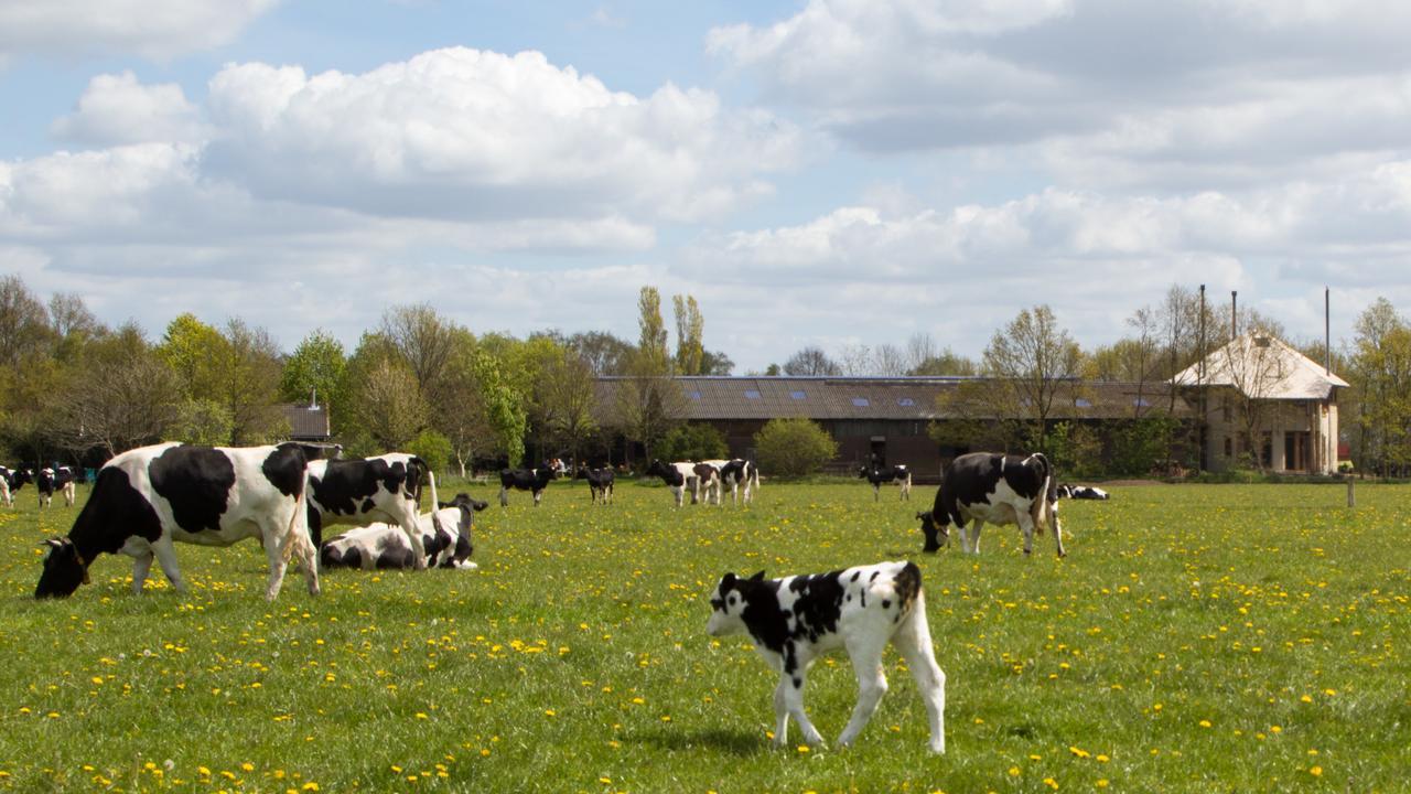 Biotel Achterhoek Lievelde Esterno foto